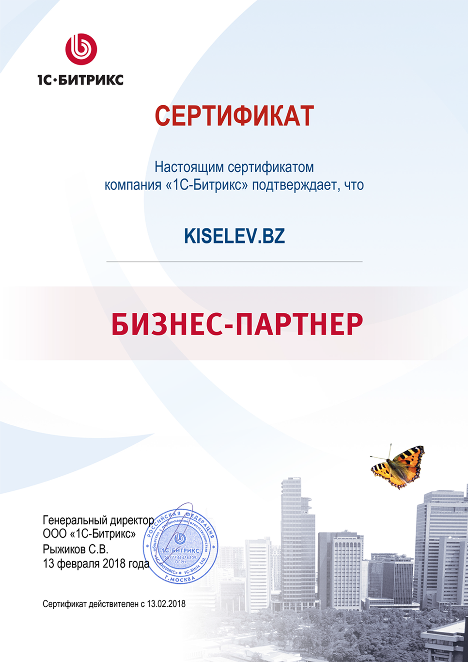 Сертификат партнёра по СРМ системам в Тынде